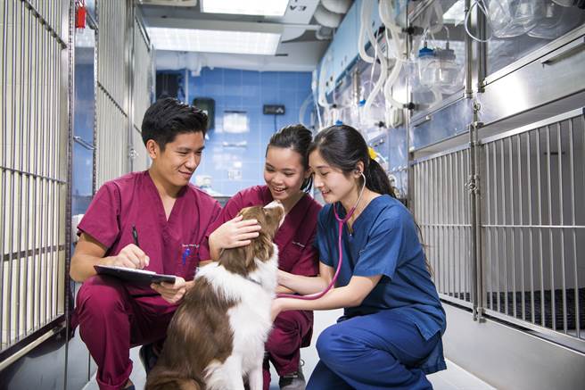 城大同步推出「HK TECH老虎班」，聚集世界級學者共同培育菁英學生。