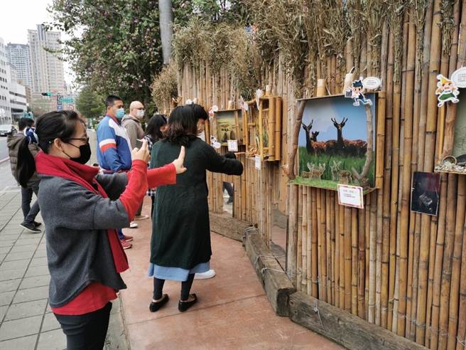 中华艺校的装置艺术为校园增添亮点。(艺校提供)