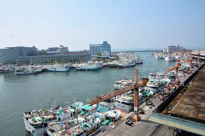 全球疫情延烧2年，台湾远洋渔业深受影响，直到今年开春才復甦有感，东港渔港也渐渐展现国际大港的气势。（谢佳潾摄）