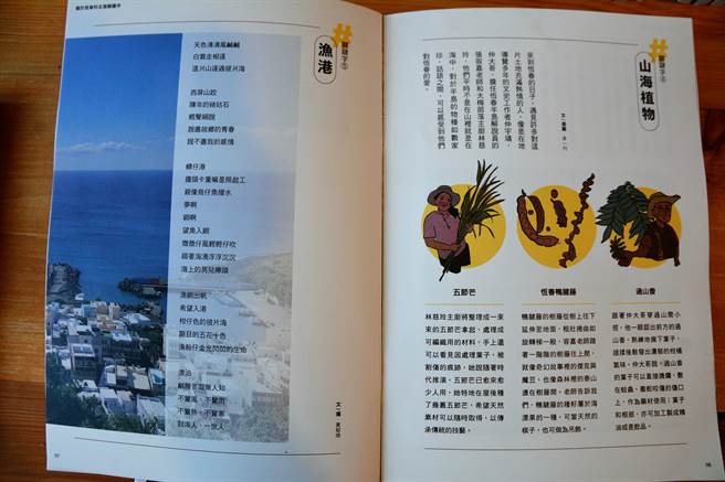 不同一般旅遊書，由獨立書店紅氣球書屋出版的《南國日日》，以外地人視角看見恆春半島隱沒的美。（謝佳潾攝）