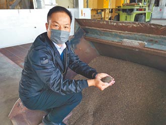 官田農會推廣蕎麥 每分地收成150公斤