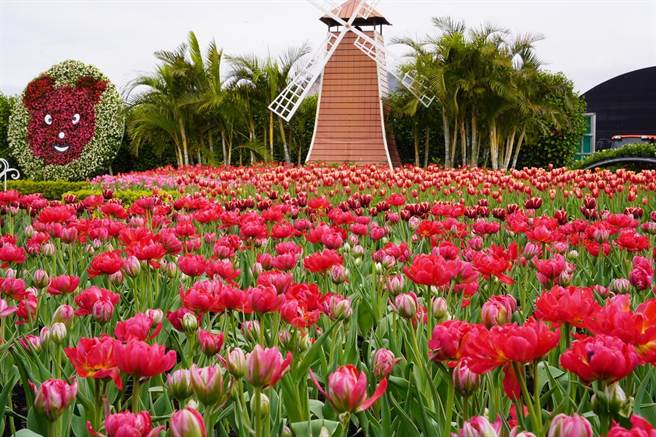 228連假登場，中社觀光花市將吸引大批人潮入園賞花。（中社花市提供）