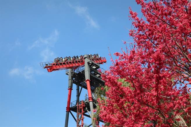 麗寶樂園祭出3天限定12歲以下「免費」好康。（麗寶樂園渡假區提供）