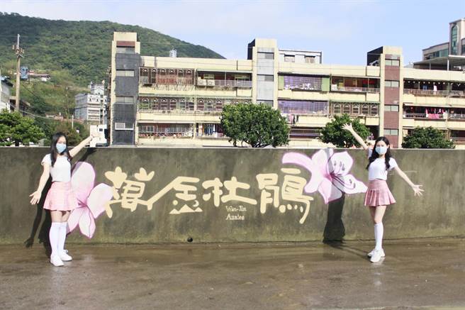 2022万金杜鹃年度花展今在万里玛鋉运动公园、观光公园起跑。（新北市农业局提供）