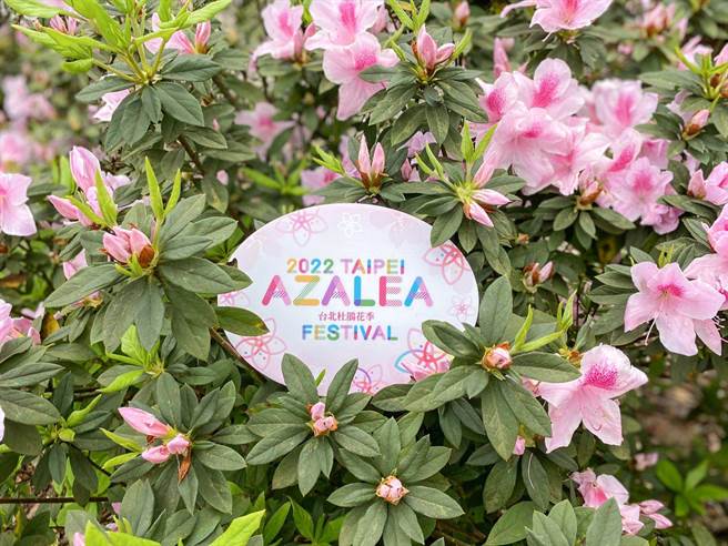 大安森林公园百花齐放，台北杜鹃花季3／1开跑。（公园处提供）