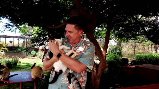 奇欧尼替夏威夷的归野猫建立了拉奈猫庇护所。（动物星球频道提供）