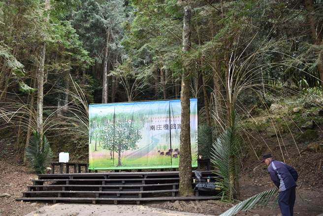 苗栗县南庄乡加里山是目前最夯的中级山。（谢明俊摄）