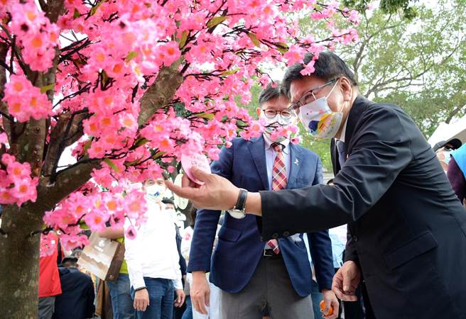 屏东日本友好感谢祭选在228连假首日开幕，屏东县长潘孟安（右）特地在樱花树挂上写满祝福的卡片。（林和生摄）