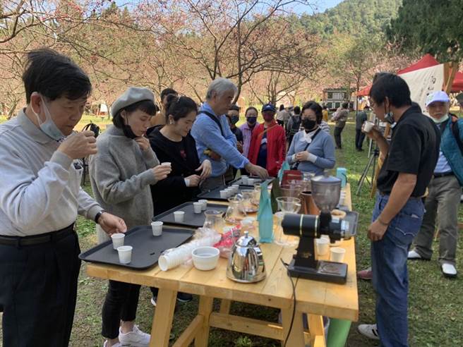 九族樱花祭，增添文学味、咖啡香。（九族文化村提供／廖志晃南投传真）