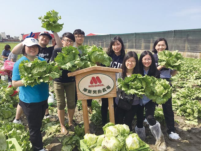 摩斯漢堡會舉辦員工溯源之旅，了解食材產地及生產履歷。圖／摩斯漢堡（安心食品）