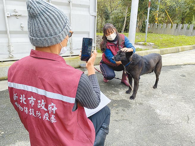 新北市动保处疫情期间发展出脸书直播，去年至今已有670只犬猫透过线上媒合认养成功。（新北市动保处提供／蔡雯如新北传真）