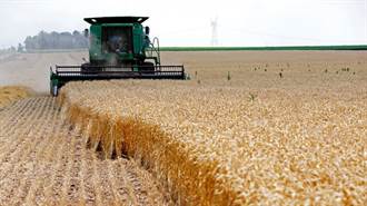 大陸取消俄羅斯小麥進口限制 減緩國際對俄制裁力度