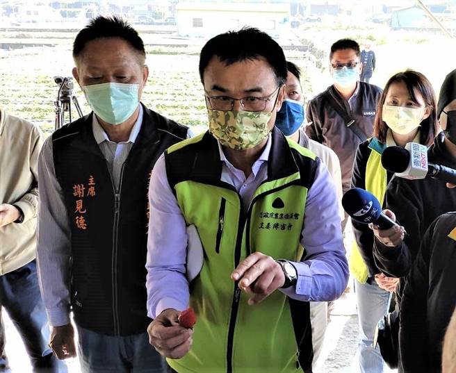 農委會主委陳吉仲27日前往苗栗縣大湖視察草莓災損。（李京昇攝）