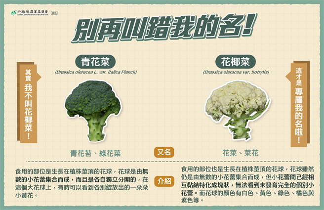 右边为花椰菜、左边为青花菜，虽然外观相像，而且都是十字花科芸薹属，但其实两种名字不一样，仔细一看外型也有差。（取自农委会脸书）