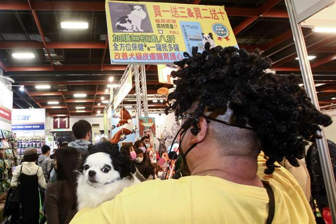 《台北宠物生活用品暨服务展》展场中有厂商头髮打扮得跟毛孩一样，吸引民眾目光。（邓博仁摄）