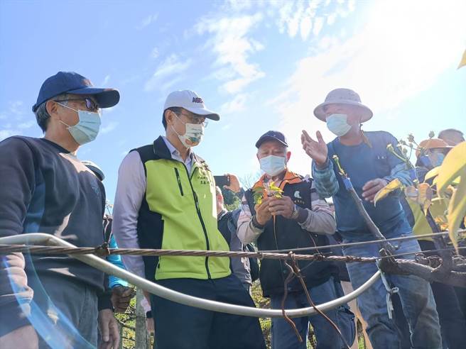 農委會主委陳吉仲28日親自現勘，為因應農民生產成本提高，將作全國一致盤點後，研擬增加補助金額。（陳淑娥攝）