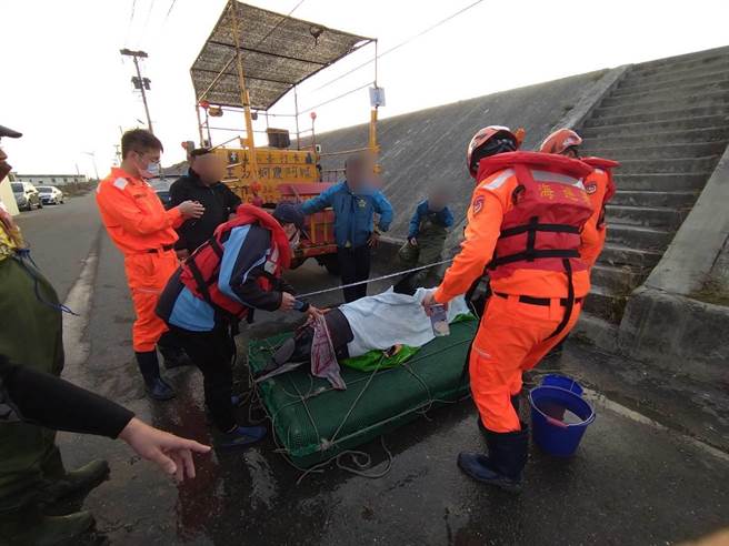 海巡署第三岸巡隊芳苑安檢所出動6名同仁，27日傍晚與民間、學界鯨豚保育人員，合力完成今年以來彰化縣海域第一例擱淺鯨豚的成功救援任務。(芳苑安檢所／謝瓊雲彰化傳真)