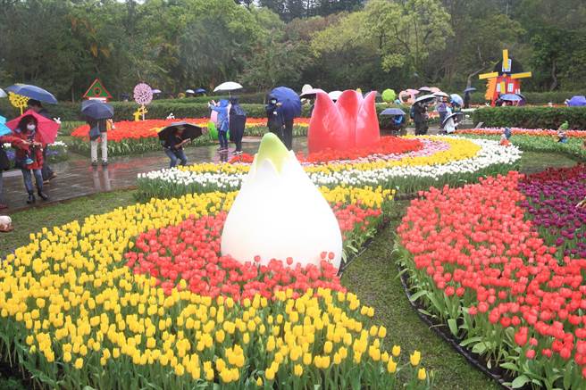 北部從明天開始將有3波冷空氣接力報到。 (資料照 張鎧乙攝）