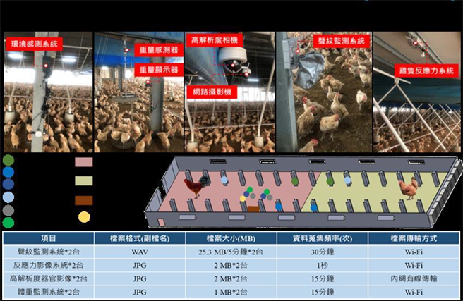 （肉鸡物联网监测系统。图／农委会提供）