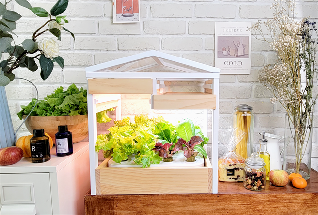 瑞康屋与佳能推出室内蔬菜制造机情境。（瑞康屋提供） 