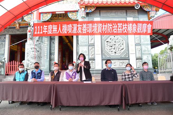 中央停止补助经费收购荔枝椿象卵片的政策，彰化县去年收购44万片，年底提早因应，展开无人机喷洒友善环境防治资材的作法，效果获得农民正面肯定。（谢琼云摄）