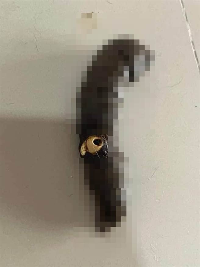 1名网友日前发现原本1对的蓝芽耳机少了左耳单边耳机，后来才发现是被家中毛宝贝吃下肚，而发现的原因超崩溃，竟是他目睹耳机直接「卡在狗大便上」。（翻摄自脸书「爆废公社公开版」）