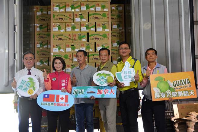 大和農特產品合作社1日出口13公噸的珍珠芭樂至加拿大，立委周春米（左二）到場力挺，稱讚芭樂外銷足見屏東農產品的國際實力。（謝佳潾攝）