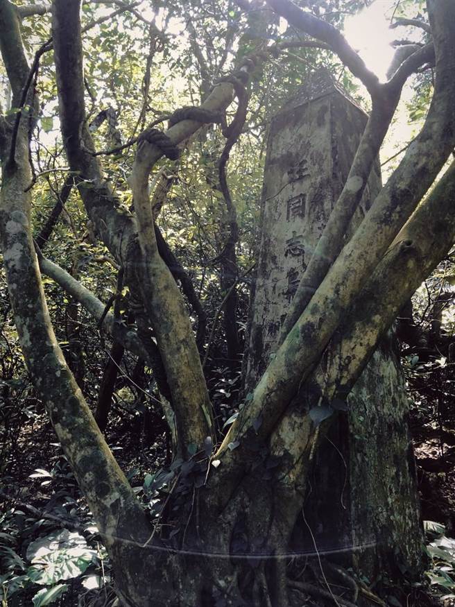 福隆车站后山，荒烟蔓草间的汪乌家纪念碑，有多少人知道这位外省士兵也是二二八受难者？(图/张若彤提供)
