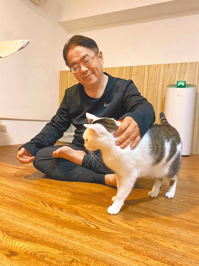 民進黨新北市議員擬參選人曾進益收養7隻流浪貓，貓咪可愛模樣也成了最佳助選員。（曾進益提供／葉書宏新北傳真）