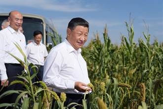觀察者網》中國人的飯碗要端在自己手裡，未來會面臨糧食戰嗎？（石磊）