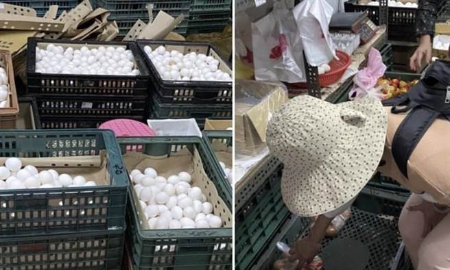 左化鹏》枕戈待「蛋」（图/爱传媒提供）