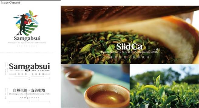 龙华科大师生从「三洽水环境教育中心」的重视生态环境的理念出发，打造相关视觉形象设计。 (龙华科大提供／李侑珊台北传真)