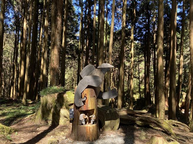 从阿里山阁往姐妹潭方向的步道，利用疏伐下来的国产材柳杉创作林业文化雕塑作品。（张亦惠摄）