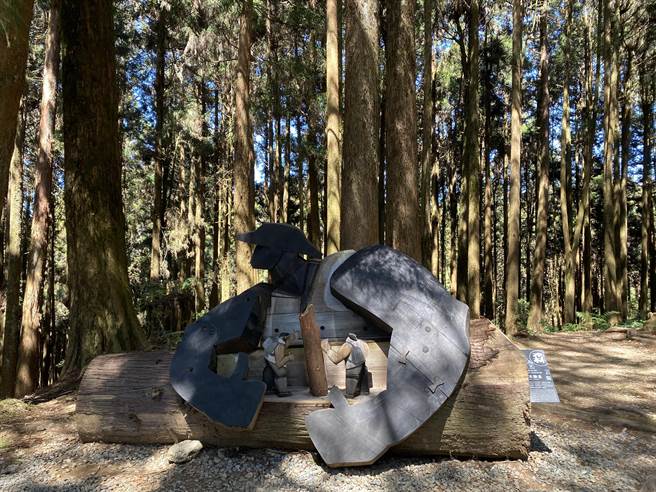 从阿里山阁往姐妹潭方向的步道，利用疏伐下来的国产材柳杉创作林业文化雕塑作品。（张亦惠摄）