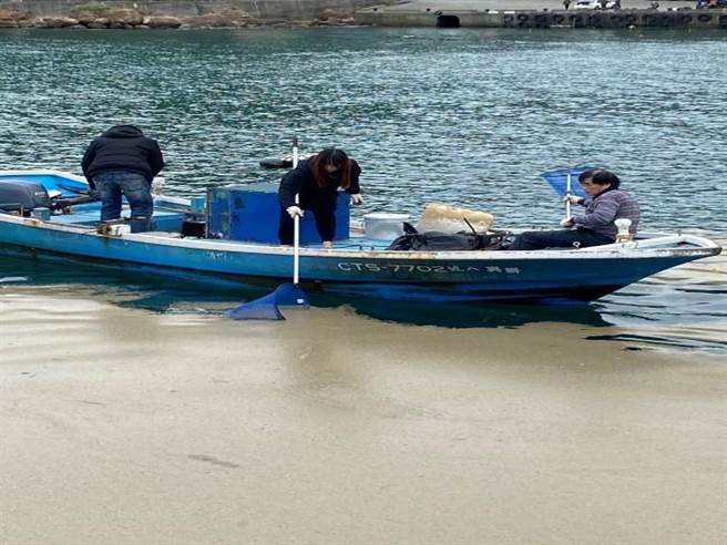 渔会协助打捞日本海底飘过来的火山浮石。（新北市渔业处提供）