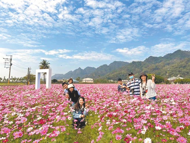 高雄市美浓区今年花海5大花田区都有大型装置艺术，成为游客拍照及打卡热点，创下20年开园来最高峰人潮。（林雅惠摄）