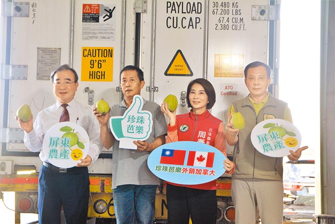 屏东大和农特产品合作社1日出口13公吨的珍珠芭乐至加拿大。（谢佳潾摄）