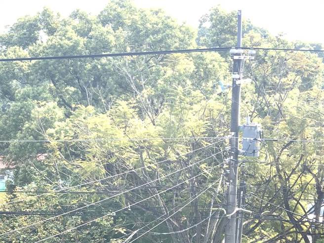 南投7萬戶停電，1人電梯受困已救出。（廖志晃攝）
