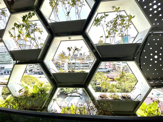 丽晨「丰二三」整座蜂巢墙面还长出绿意盎然植栽，成为令人惊艷的建筑亮点。（卢金足摄）