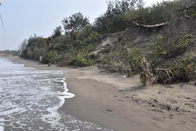 竹南假日之森海濱沙岸受海水侵蝕造成木棧道坍壞。（謝明俊攝）