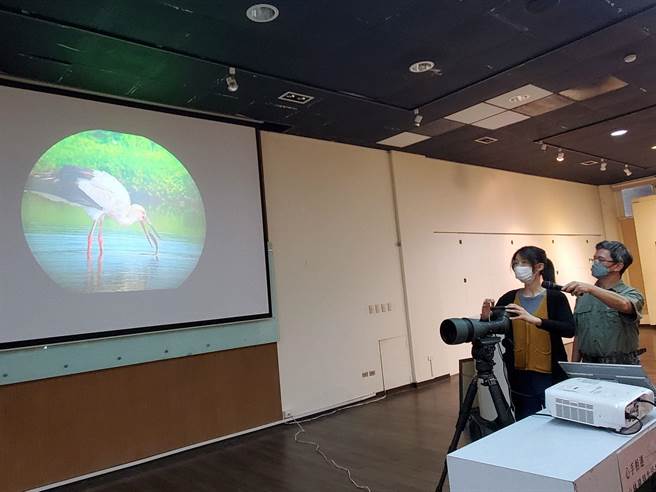 池沛玲把手机放在单筒望远镜，从单筒望远镜的成像上拍鸟，方法如同拍日蚀。（周丽兰摄）