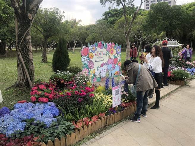 台北杜鹃花季开跑。（杨亚璇摄）