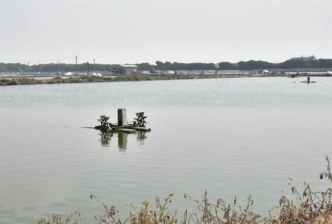 3月3日全台大停電，高雄永安區魚塭水車停擺。（林瑞益攝）