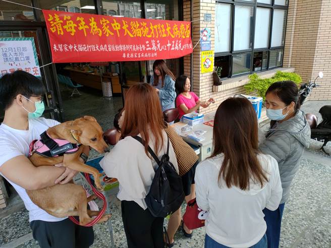 屏县府呼吁民眾提高警觉，并于14日带饲养的犬猫至水门及隘寮活动中心施打狂犬病疫苗，避免疫情扩散。（屏县府提供／谢佳潾屏东传真）