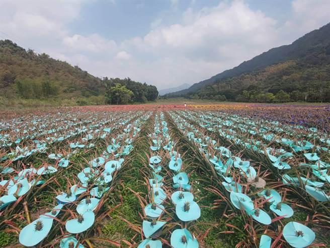 屏县府为推广沿山公路观光，特别推出「185沿山旺来双层巴士」，游客即日起至5月间只要逢假日都能搭乘敞篷双层观光巴士游185县道。（谢佳潾摄）
