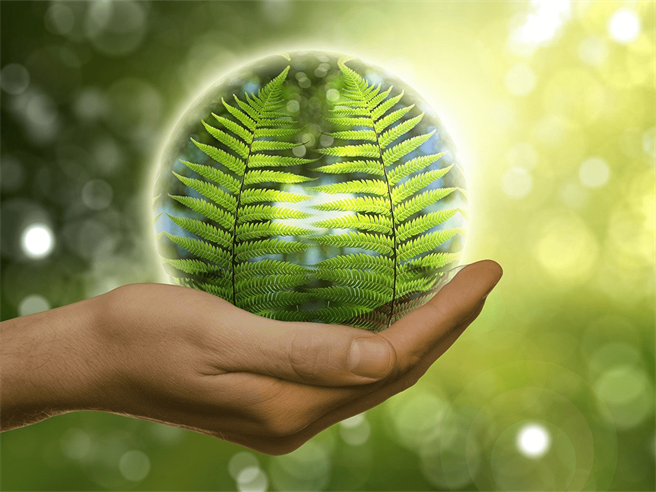 破解黄金公式硅循环经济产业转身成减碳能源潜力王。(理财周刊提供)