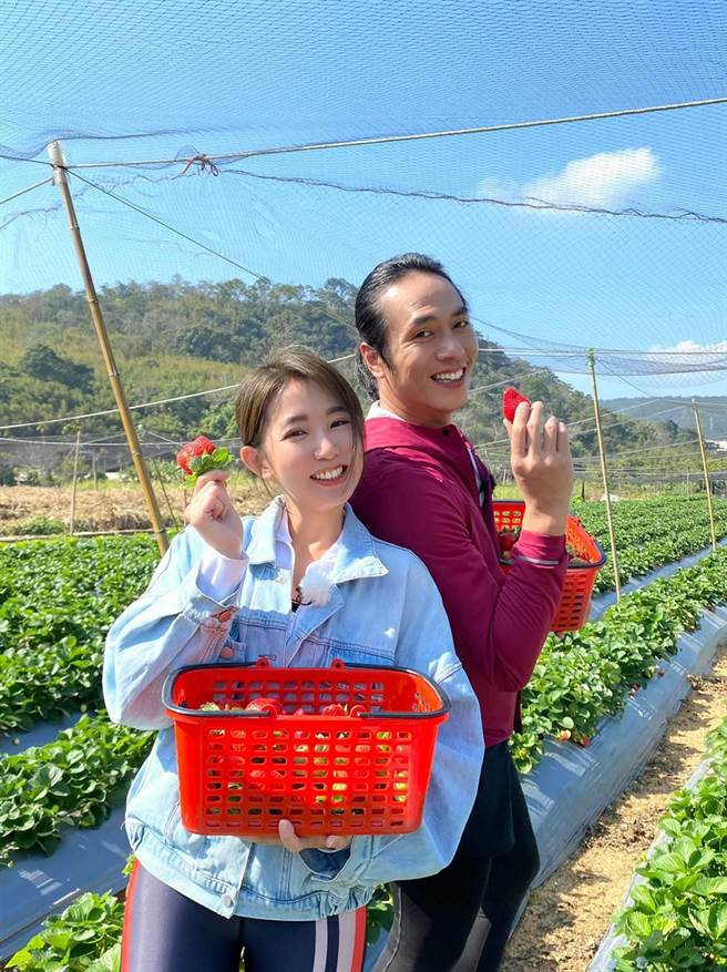 庄凯勛（右）与郭书瑶大採草莓。（卫视中文台提供）