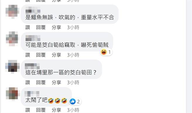 有民眾在照片下方留言，有人猜测是不是被弃养，也有人建议抓起来吃，还有民眾认为是下个月筊白笋要收成，农民放充气鱷鱼来吓阻宵小。（翻摄脸书社团「埔里人」／吴建辉南投传真）