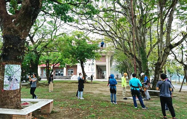 攀樹活動將於3月13日在嘉大蘭潭校區嘉禾館前舉行。（嘉義大學提供／廖素慧嘉市傳真）
