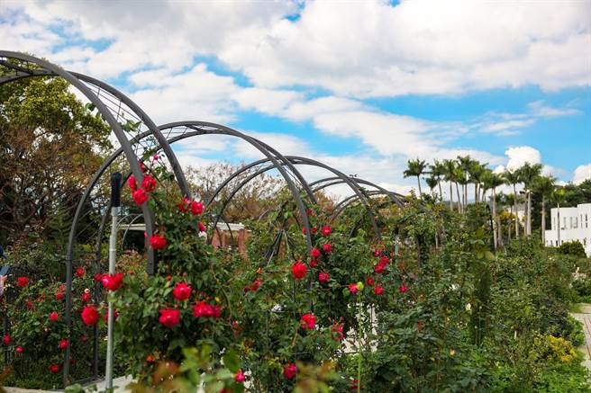 2022台北玫瑰展「玫好制作所」登场。（北市工务局提供／杨亚璇台北传真）